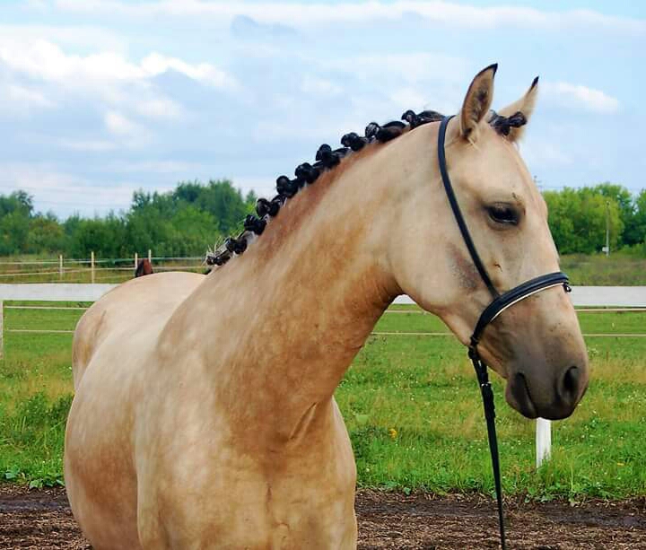 2018-12-25 01.50.26.jpg