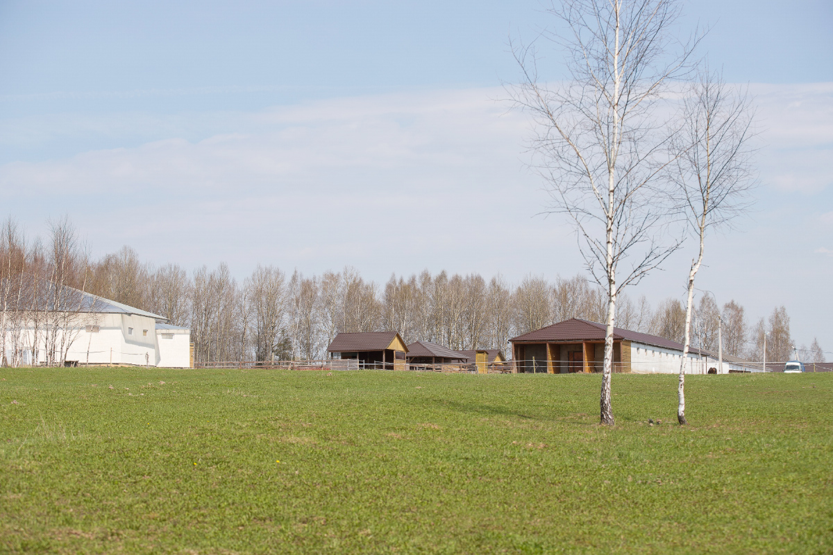 20180430_008-1.jpg