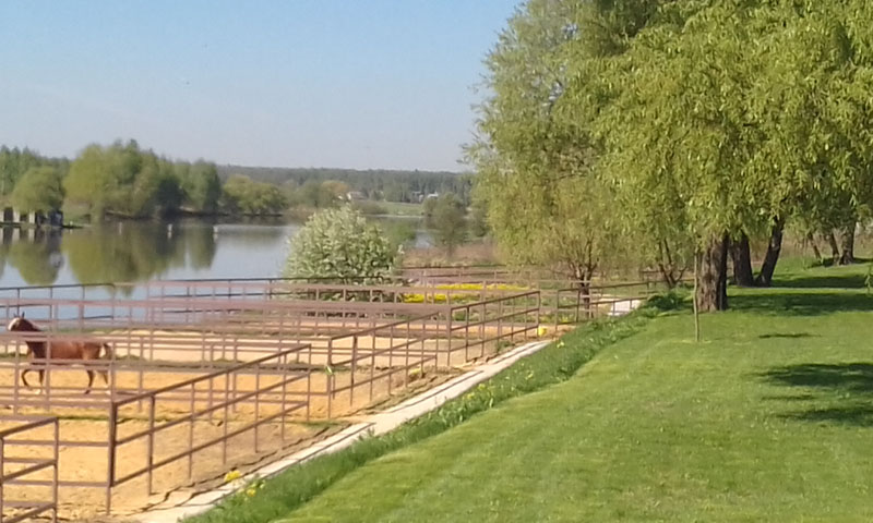 20180508_100720__sm.jpg