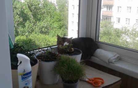 20180512_152906.jpg