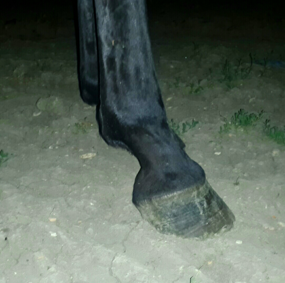 20180622_220821.jpg