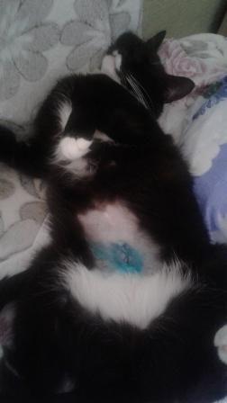 20180710_142305.jpg