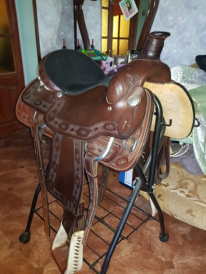 20180913_103017.jpg