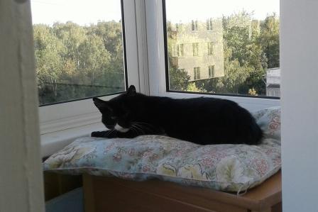 20180915_163547-1-1.jpg