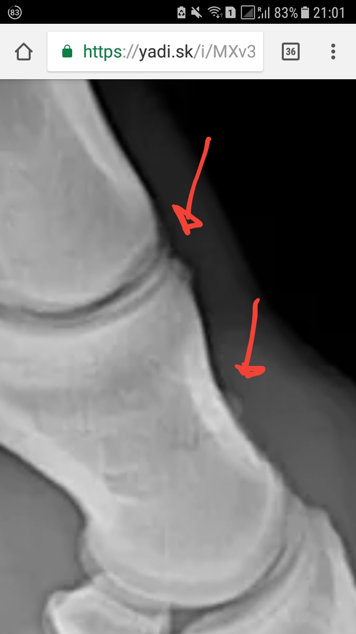 20181227_210232.jpg
