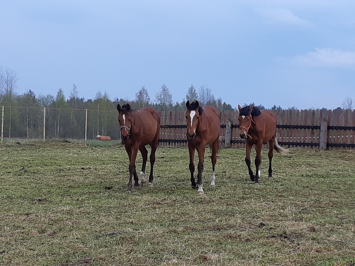 20190506_190258.jpg