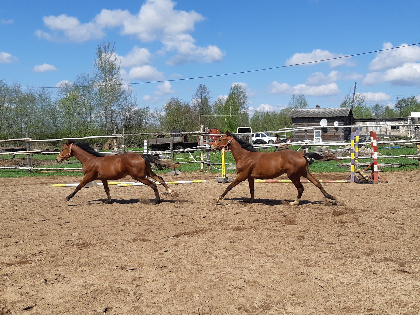 20190512_110117_002.jpg