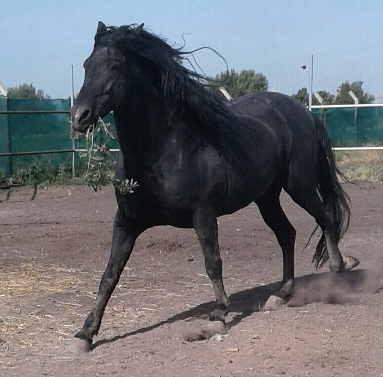 20190519_083245-1-1.jpg