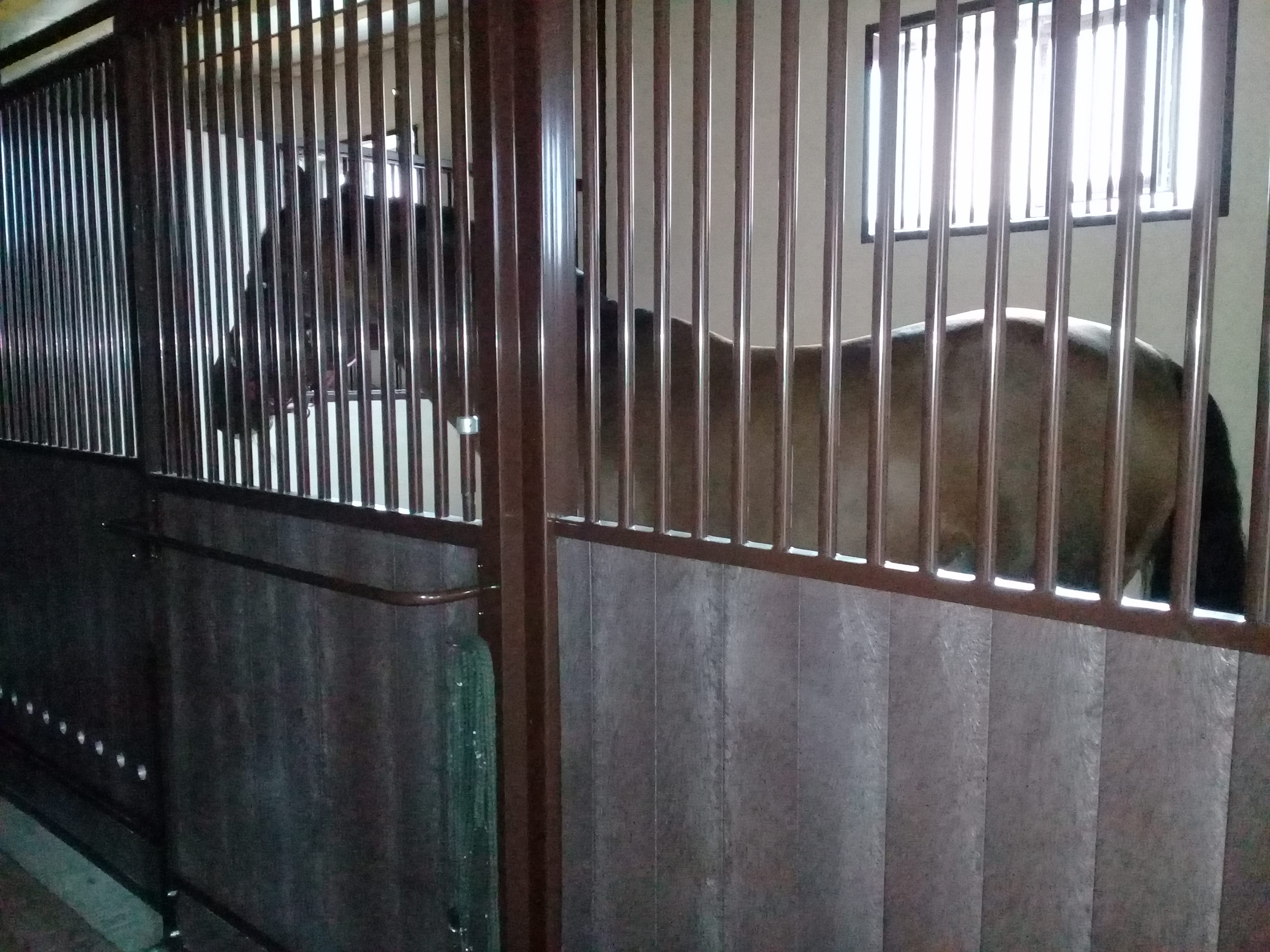 20190715_143756-min.jpg