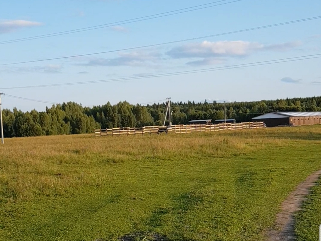 20190726_130508.jpg