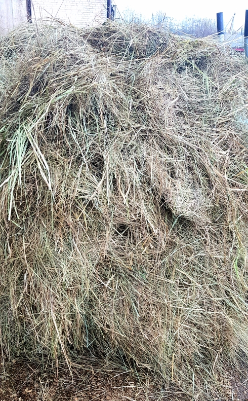 20191019_220734.jpg