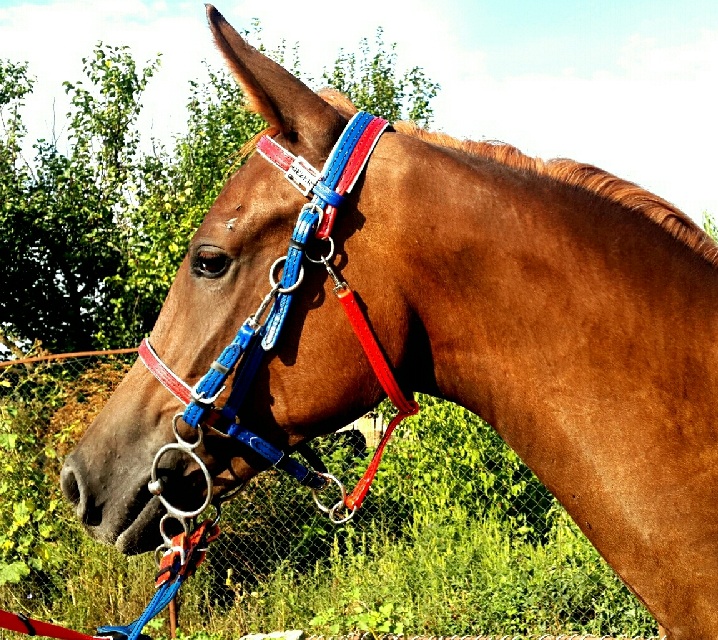 20191021_111526р.jpg