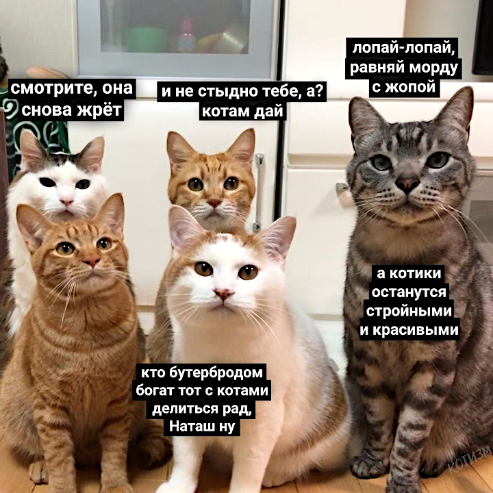 2020-05-25-1590427397.jpg