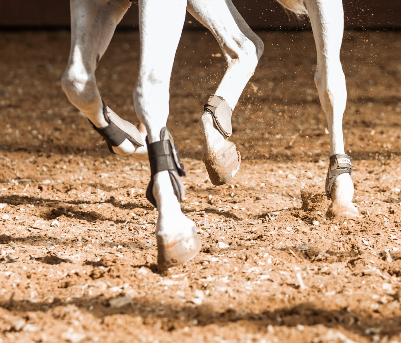 2020-09-23 13-53-27_1601458692736.JPG