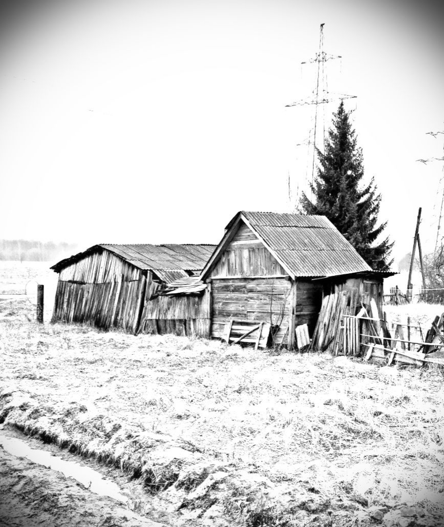20200304_190601.jpg