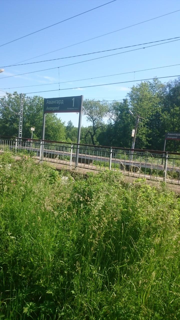20200618_171134.jpg