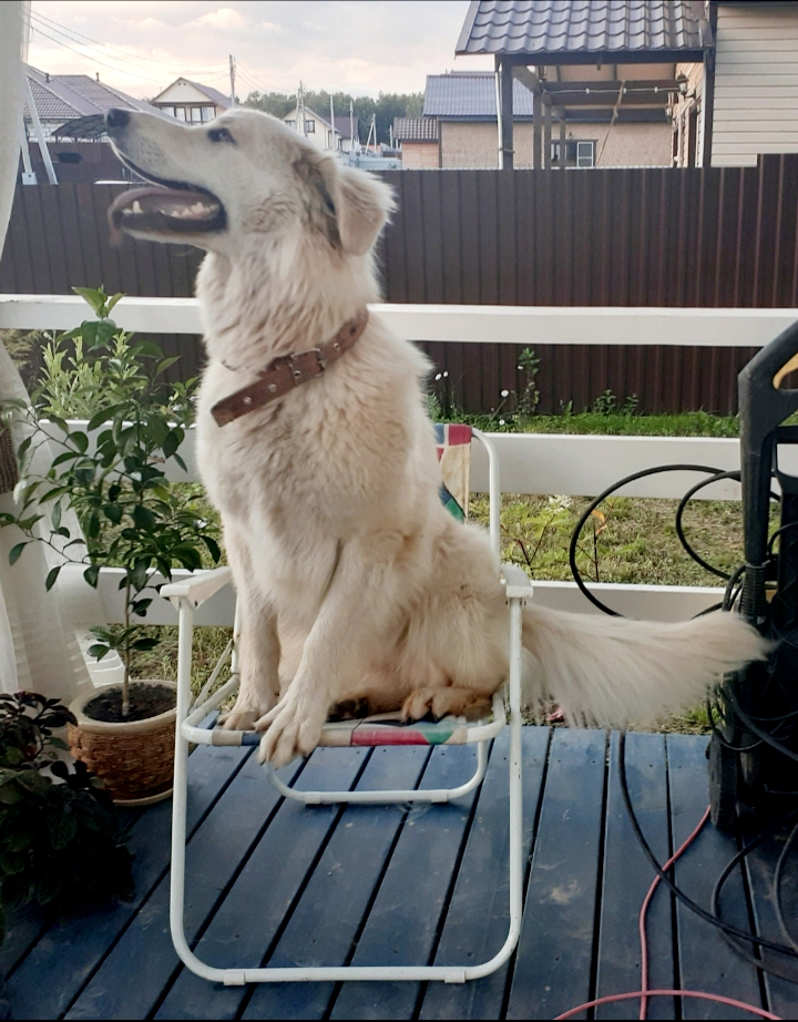 20200809_212251.jpg
