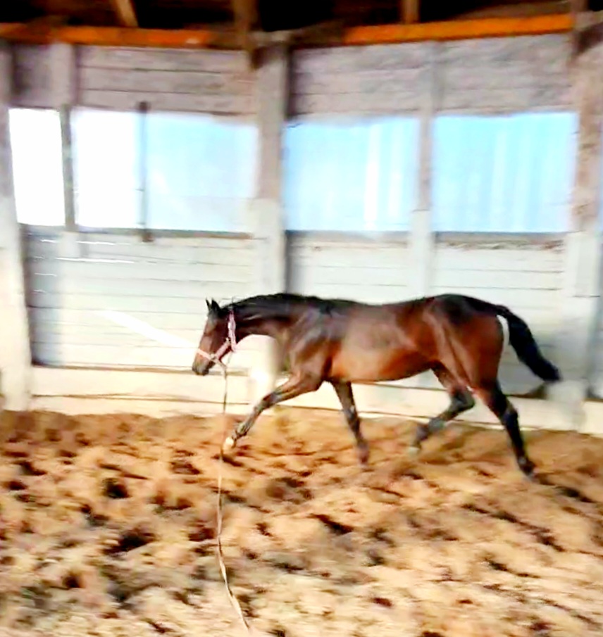 20200925_154747.jpg