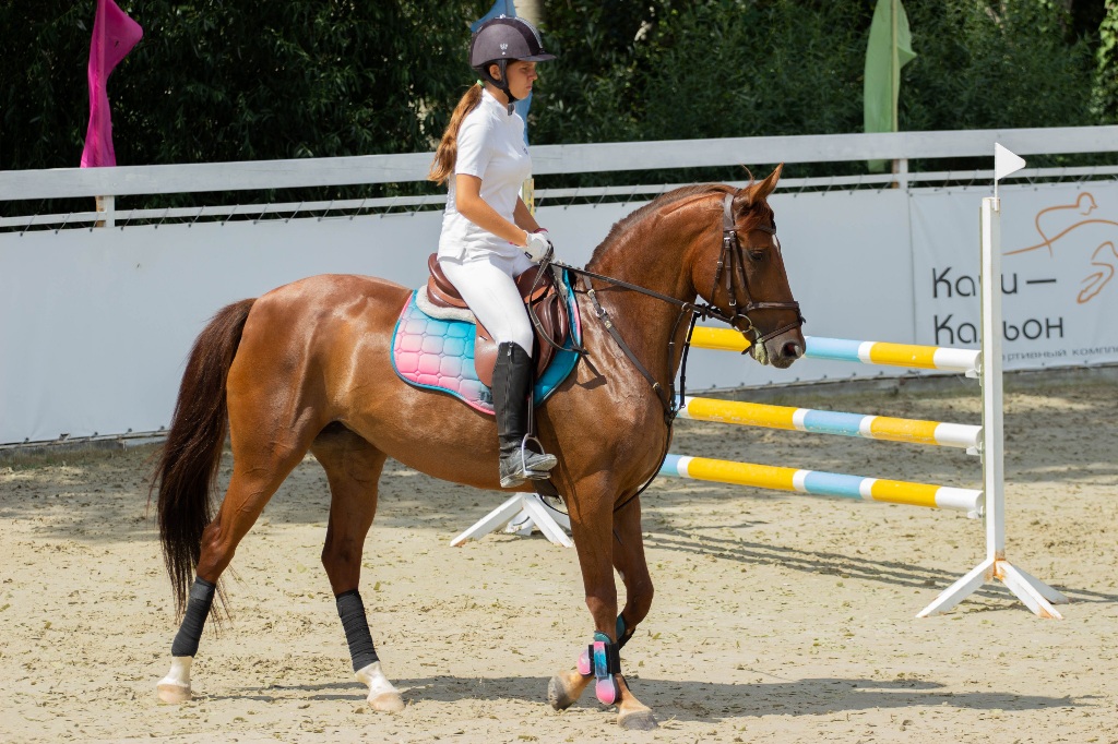 20201004_135415-jpg.425982