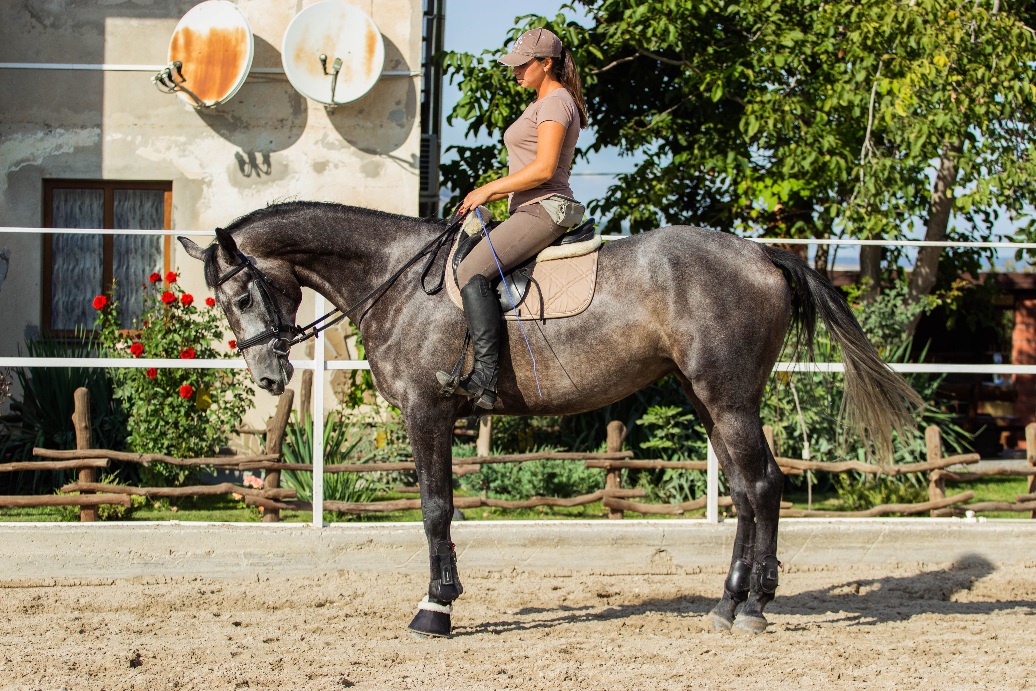 20201007_101049.jpg