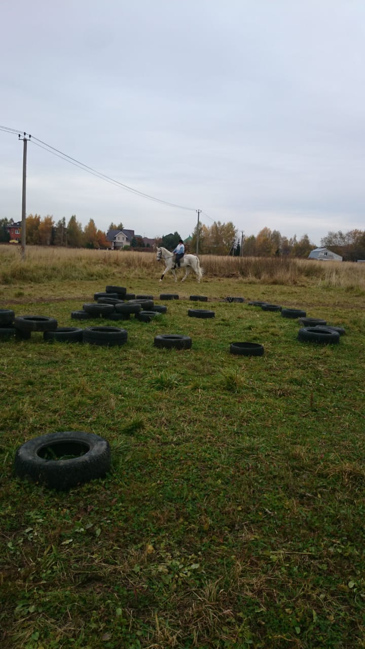 20201010_170115.jpg