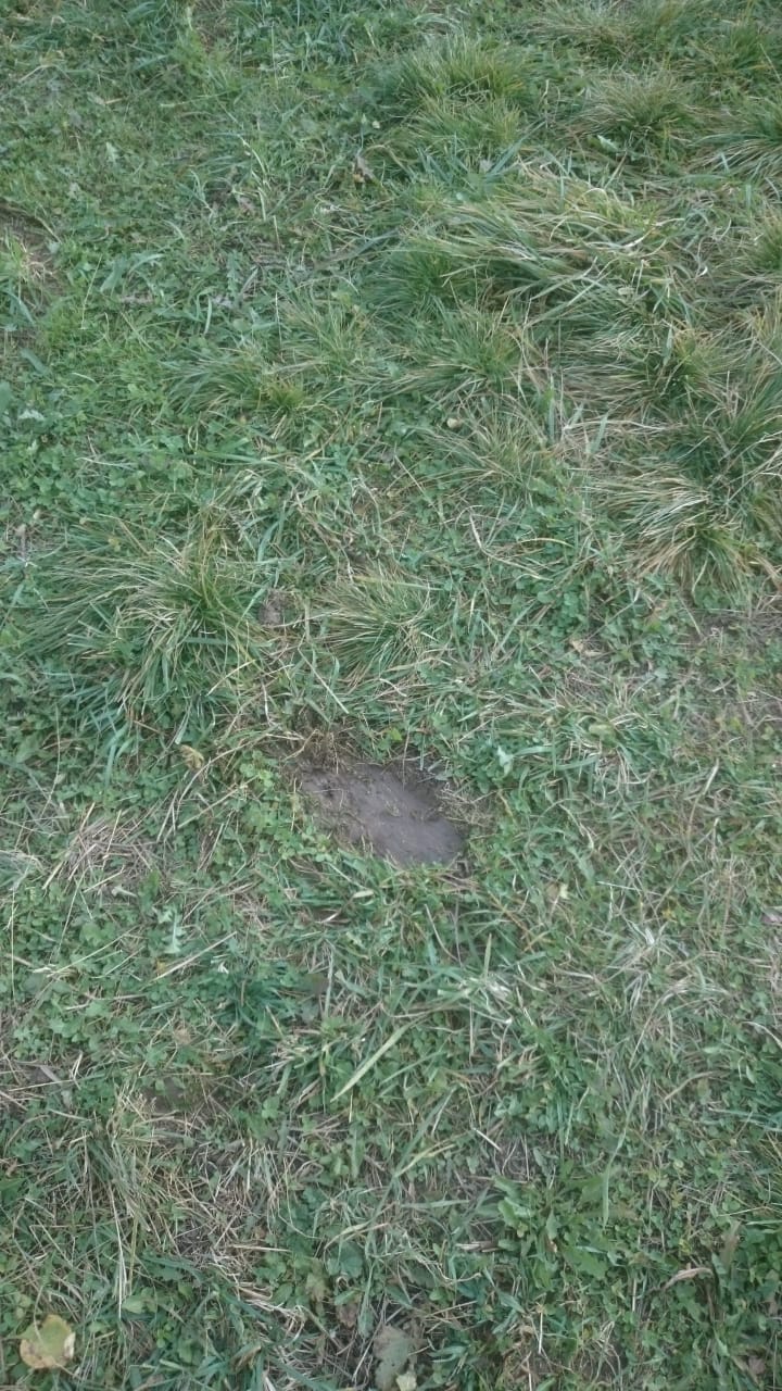 20201015_094843.jpg