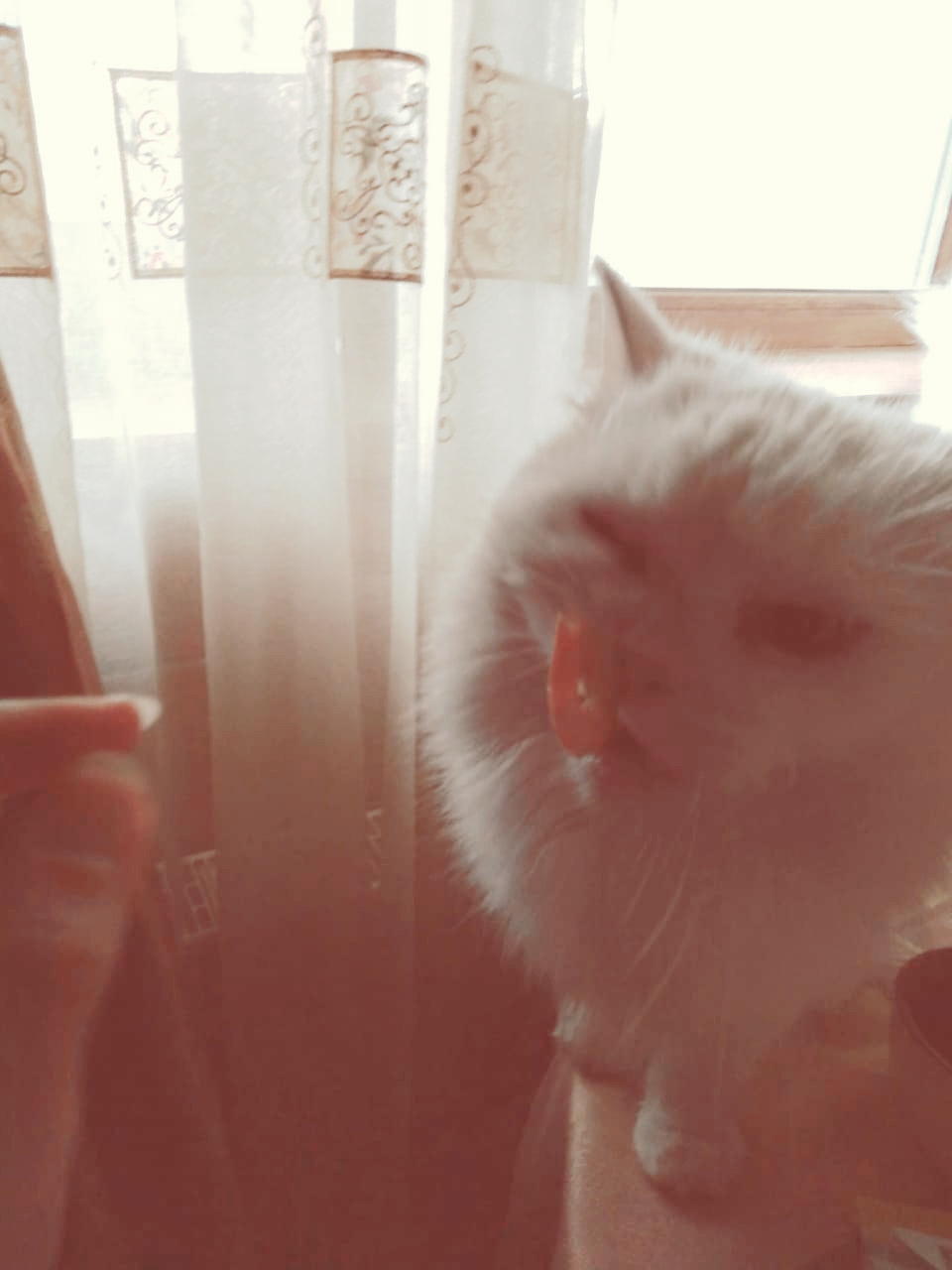 20201019_143355.jpg