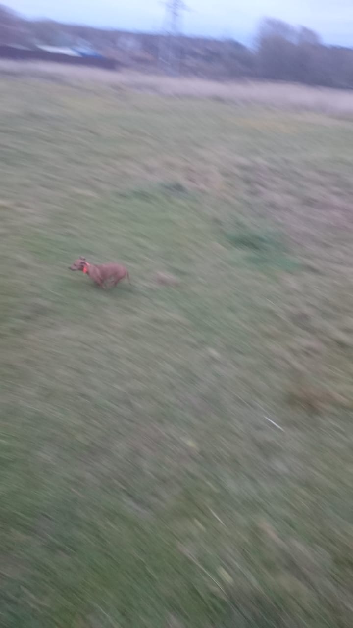 20201101_195710.jpg