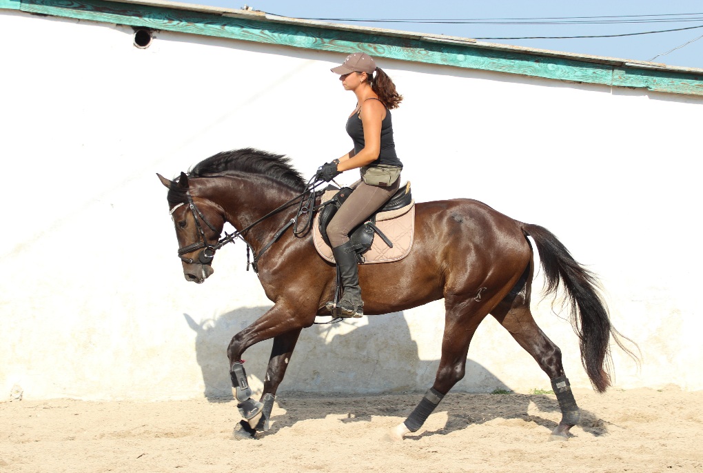 20201108_213053.jpg