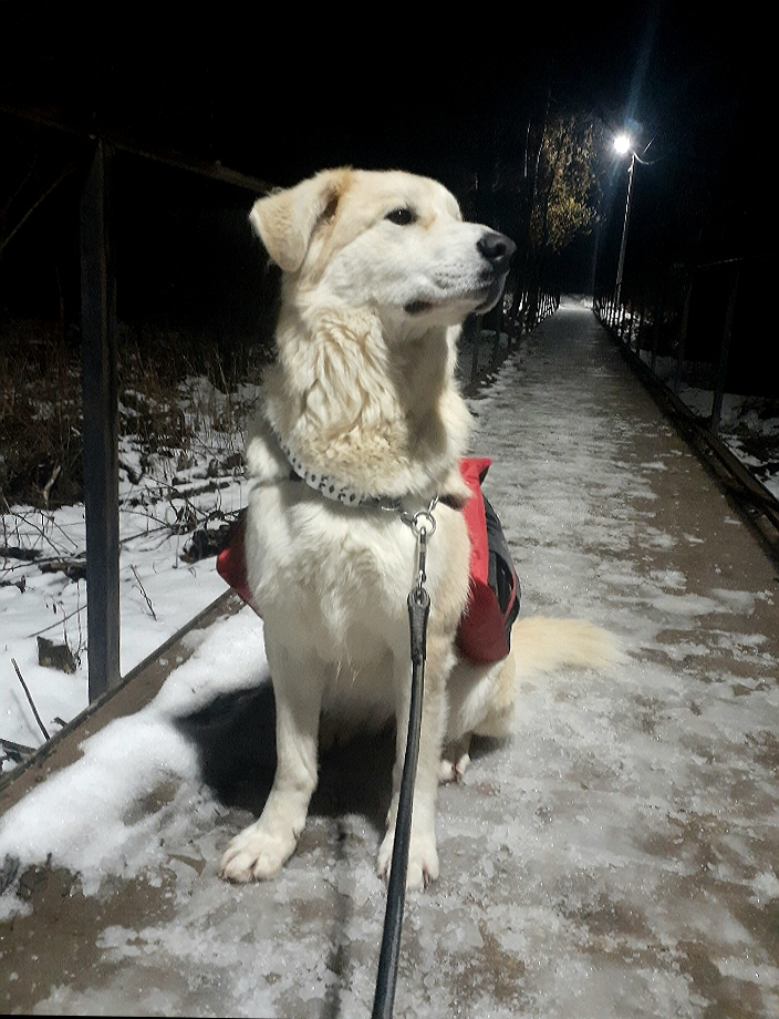 20201125_201743.jpg