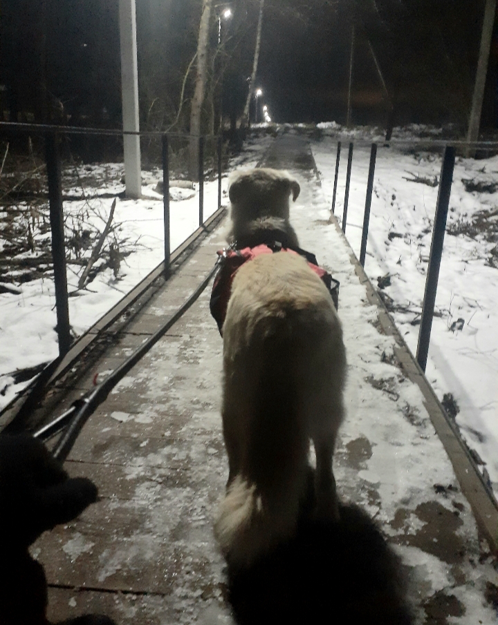 20201125_202948.jpg