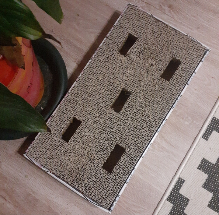 20201130_222231.jpg