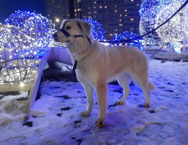 20201223_211016.jpg