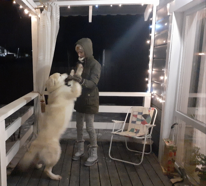 20201227_204138.jpg