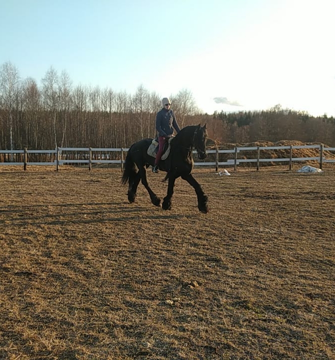 20210409_201109.jpg