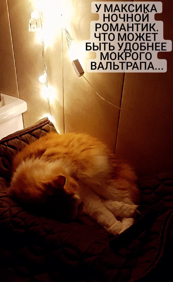 20210909_105038.jpg