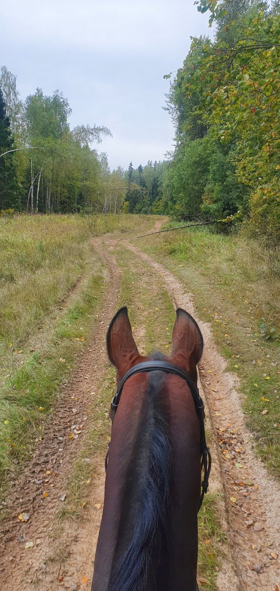 20210919_124641.jpg