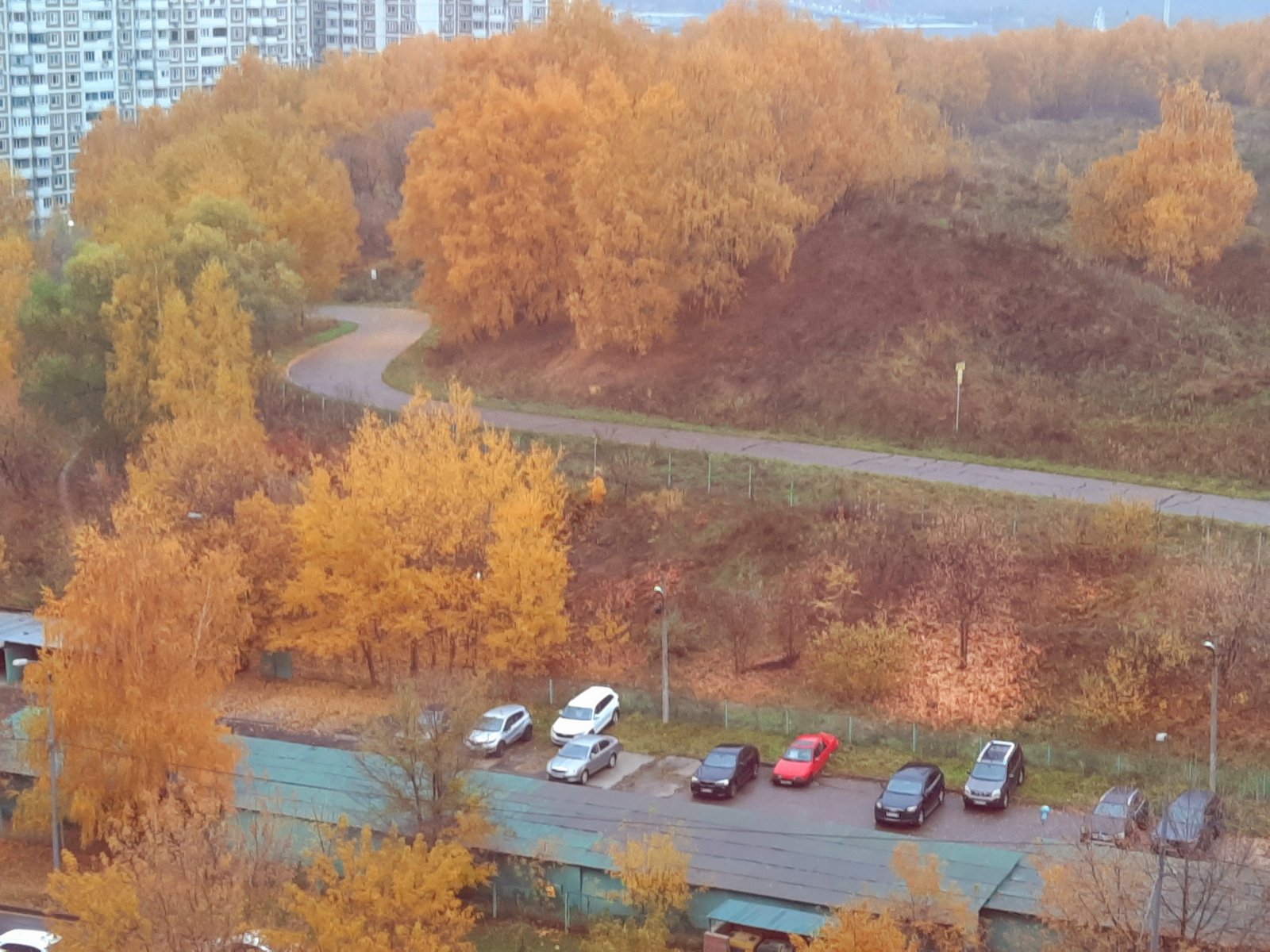 20211014_134609.jpg