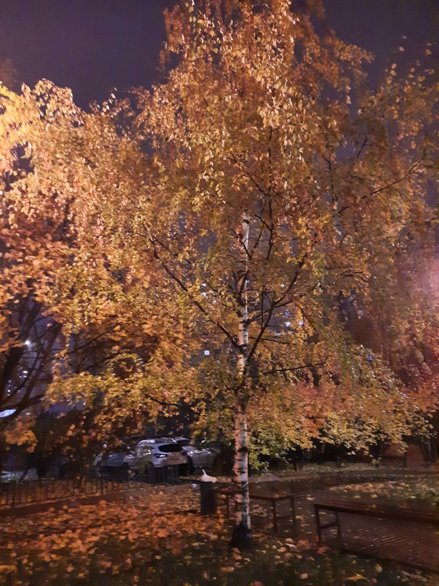 20211014_232338.jpg