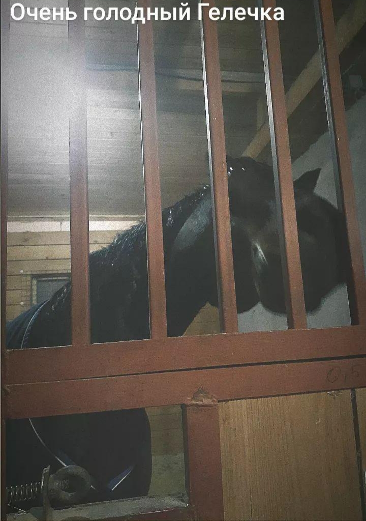 20211114_185234.jpg