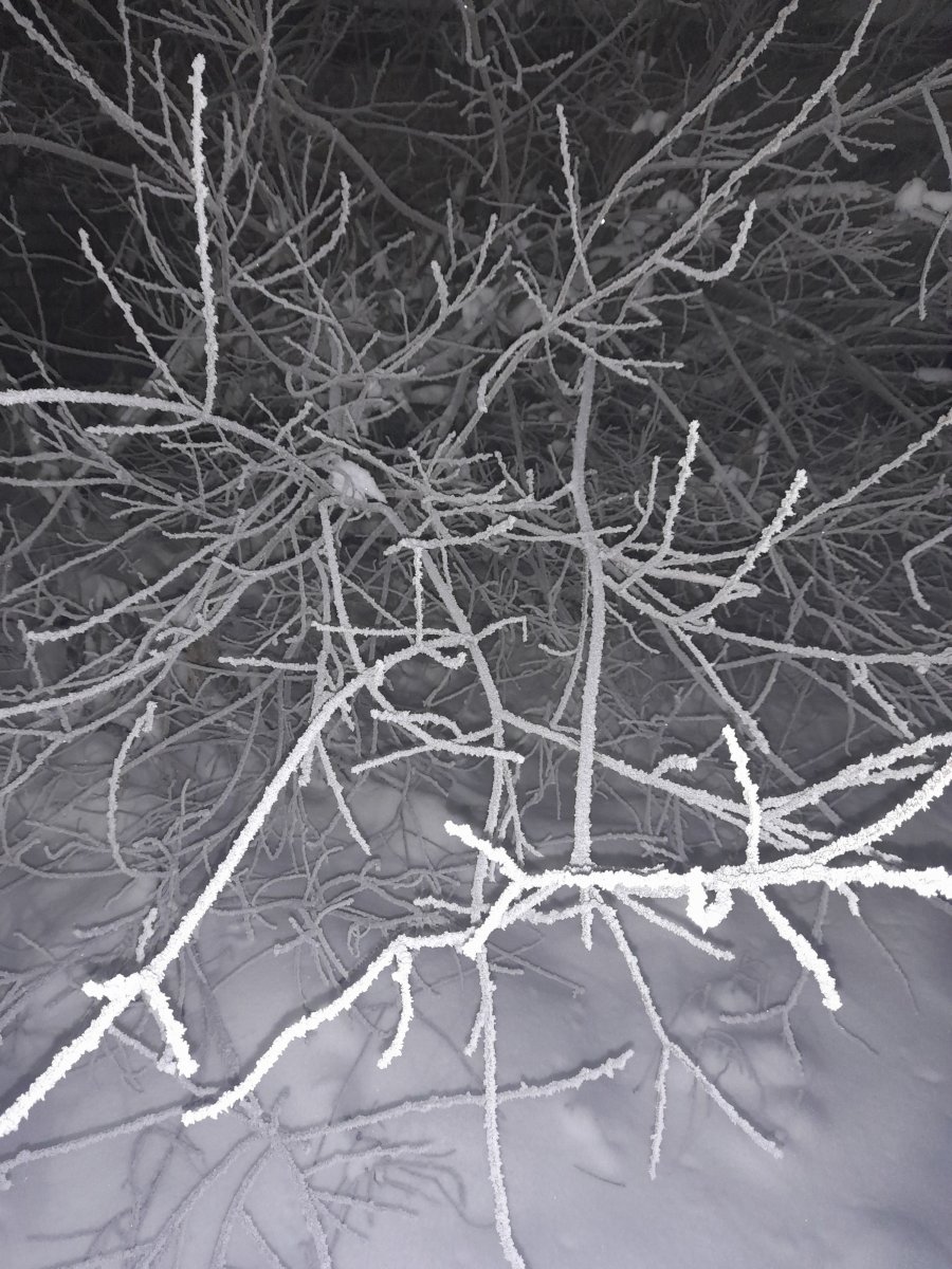 20211212_171409.jpg