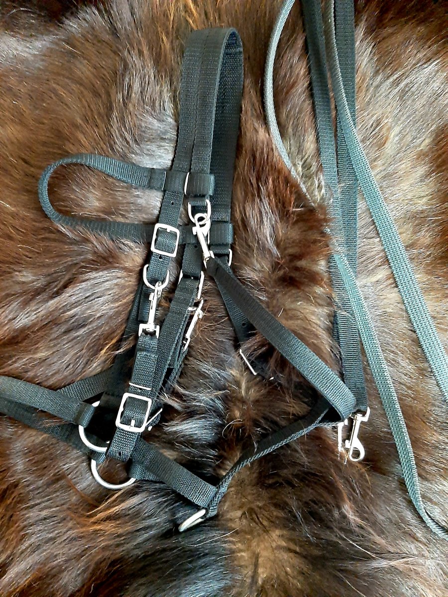 20211231_125809.jpg