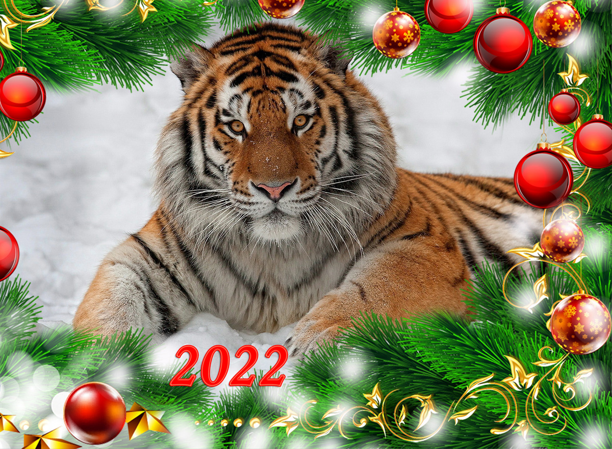 2022 copy.jpg