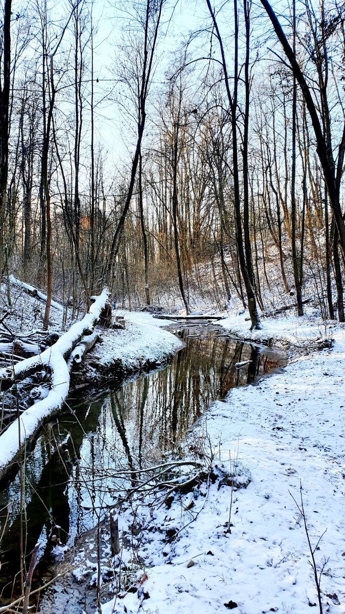 20220107_132044.jpg