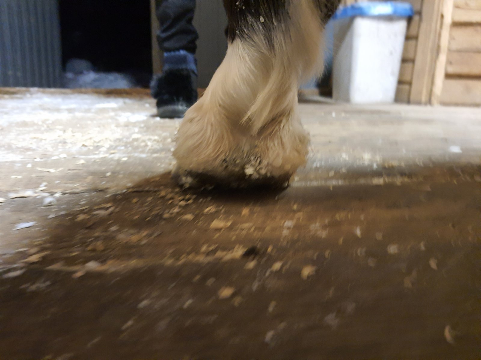 20220112_182657.jpg