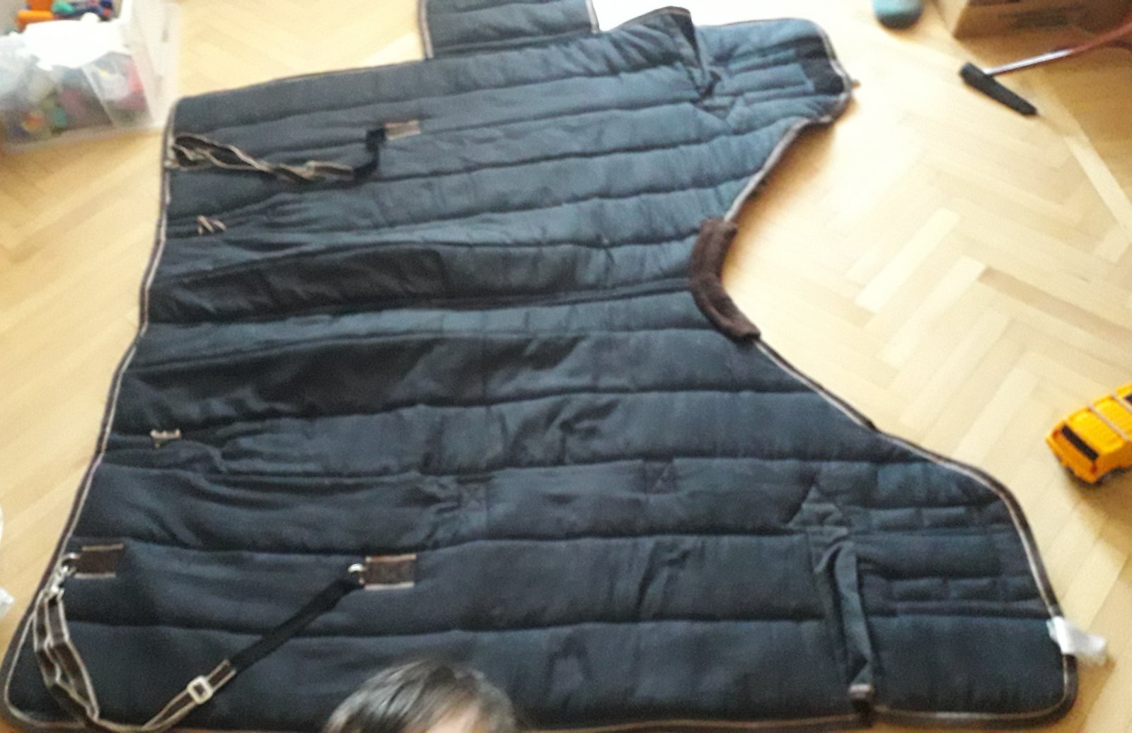 20220314_145631.jpg