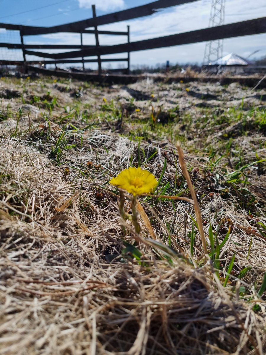 20220420_100320.jpg