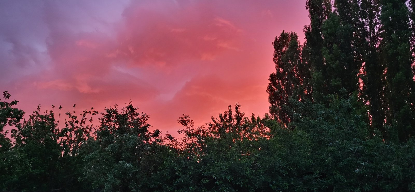 20220521_201307.jpg