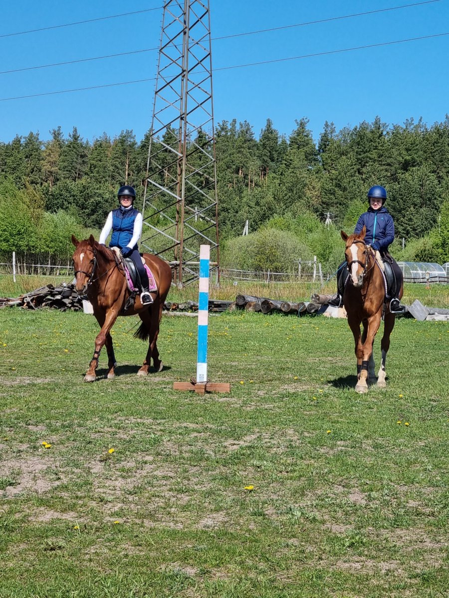 20220522_093110.jpg