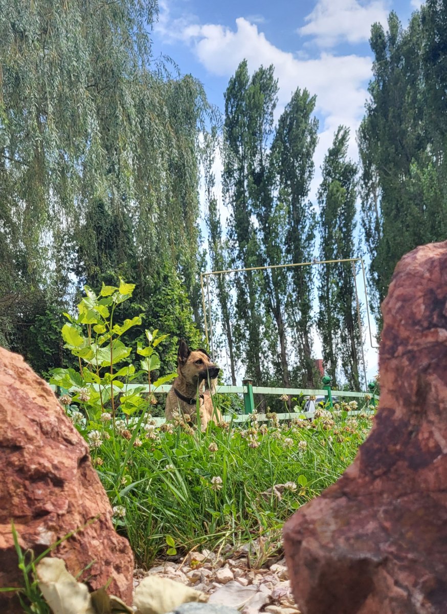 20220629_154942.jpg